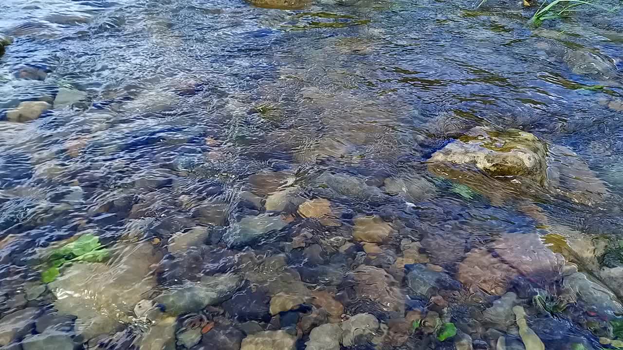 基列摩什山河在浅水处快速流动的水特写。岩石底部透过清澈的河水可见。自然背景。乌克兰,喀尔巴阡山视频下载