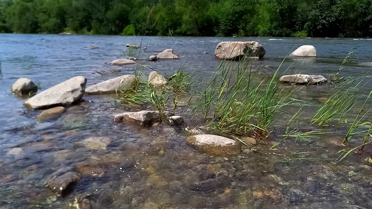 风景。基列摩什山河湍急的水流。清澈的河水。夏天，晴天。乌克兰,喀尔巴阡山。有选择性的重点视频下载