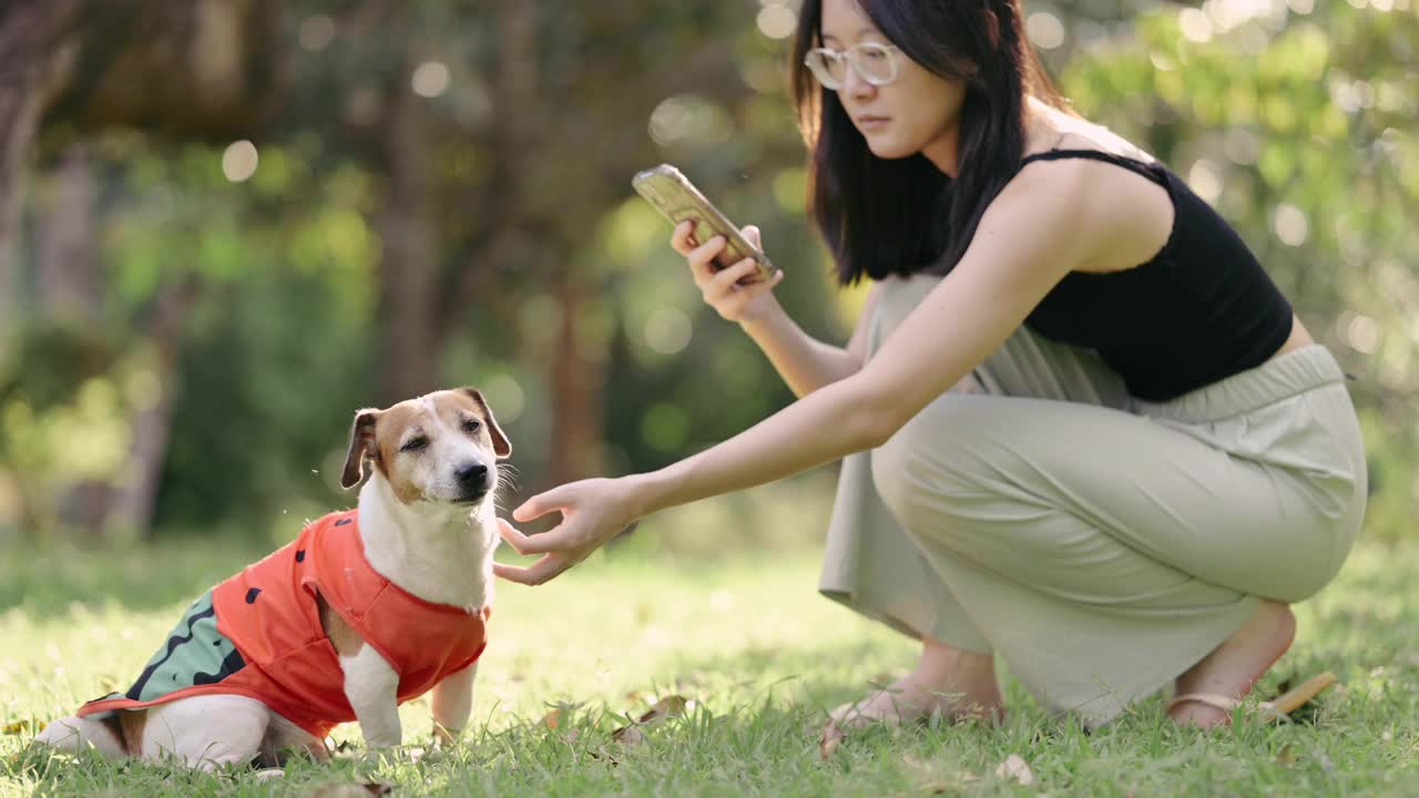 活跃的亚洲Z世代用手机分享可爱的狗狗时刻，小狗聪明聪明地和主人在草地上玩耍视频素材