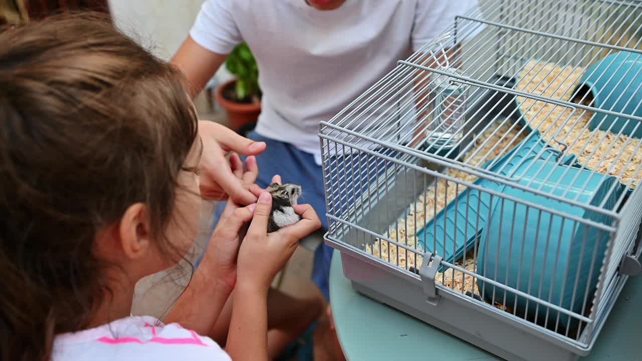 孩子们在一个舒适的家庭环境中，用笼子和配件欣赏他们的宠物仓鼠，一起享受照顾宠物的快乐和责任。视频素材