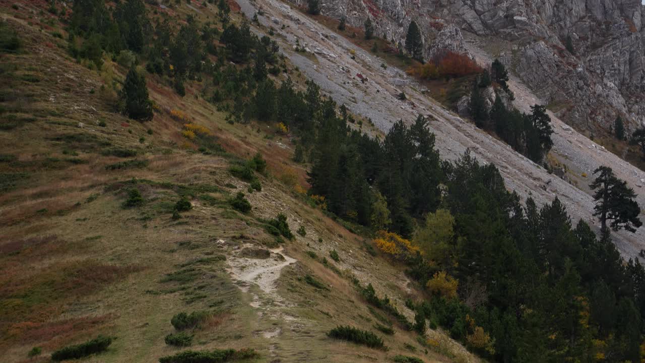 崎岖的山峰耸立在茂密的松林之上。视频下载