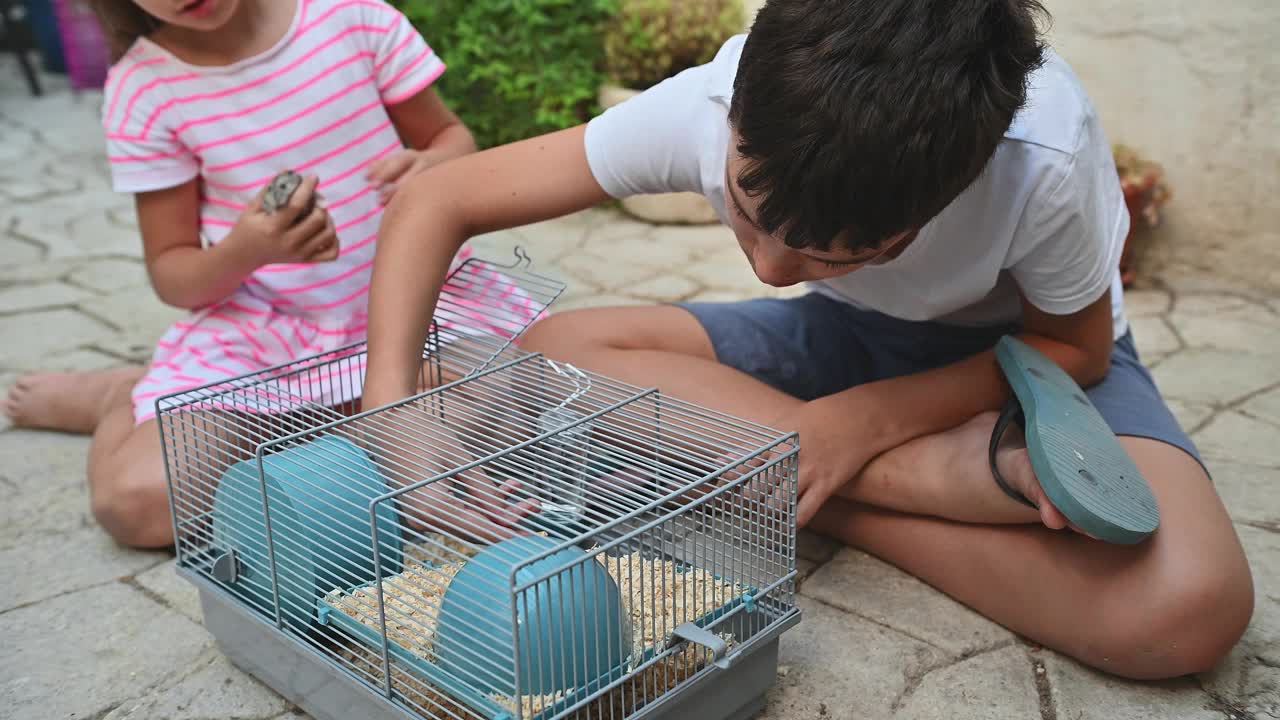 孩子们在户外的笼子里和他们的宠物仓鼠一起享受时光。这个场景捕捉到了童年的快乐、友谊，以及照顾小动物朋友的简单乐趣。视频素材