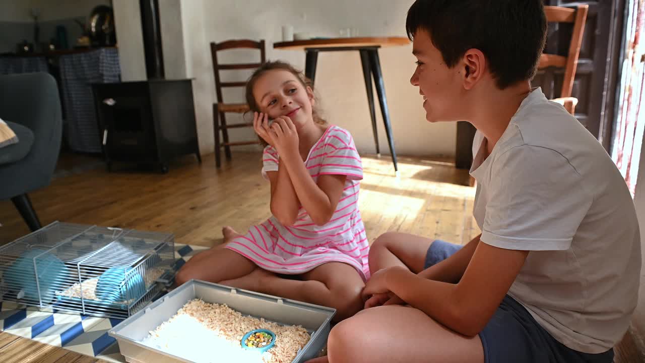 孩子们在舒适的客厅里与宠物仓鼠一起玩耍，与可爱的小动物亲密无间，共同创造快乐温馨的家庭回忆视频素材