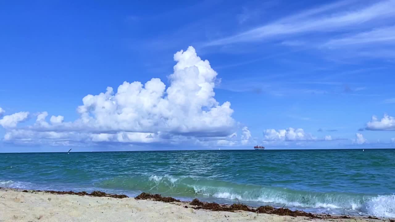 从沙滩上看蓝色的大海视频下载