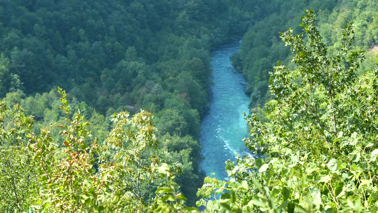 黑山的塔拉河峡谷视频下载