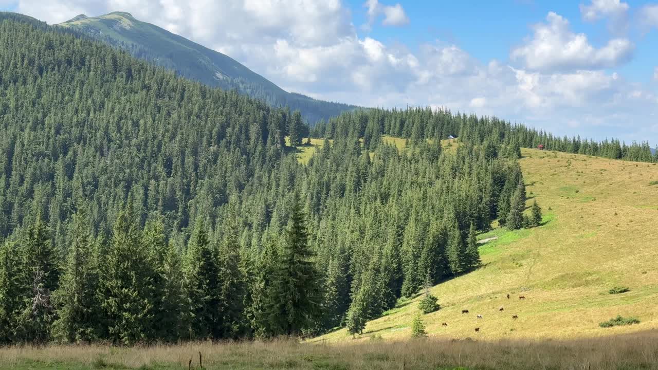 云彩掠过郁郁葱葱的青山视频素材