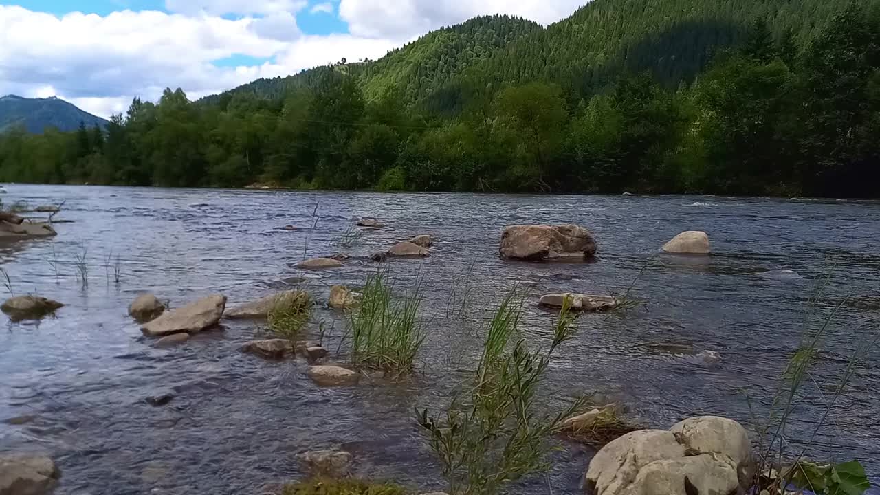 景观。基列摩什山河湍急的水流。清澈的河水。夏天，晴天。乌克兰，喀尔巴阡山脉，乌斯特里奇村，伊万诺-弗兰科夫斯克地区。有选择性的重点视频下载