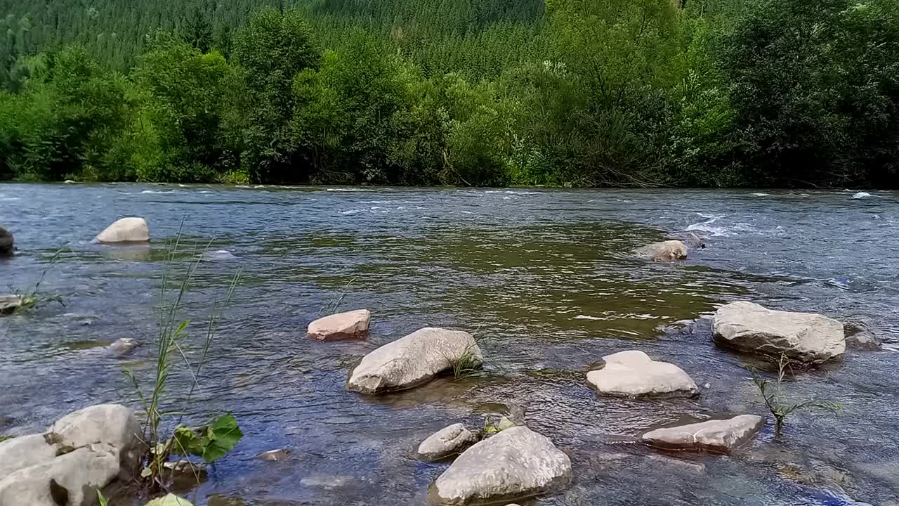 景观。基列摩什山河湍急的水流。清澈的河水。夏天，晴天。乌克兰，喀尔巴阡山脉，乌斯特里奇村，伊万诺-弗兰科夫斯克地区。有选择性的重点视频素材