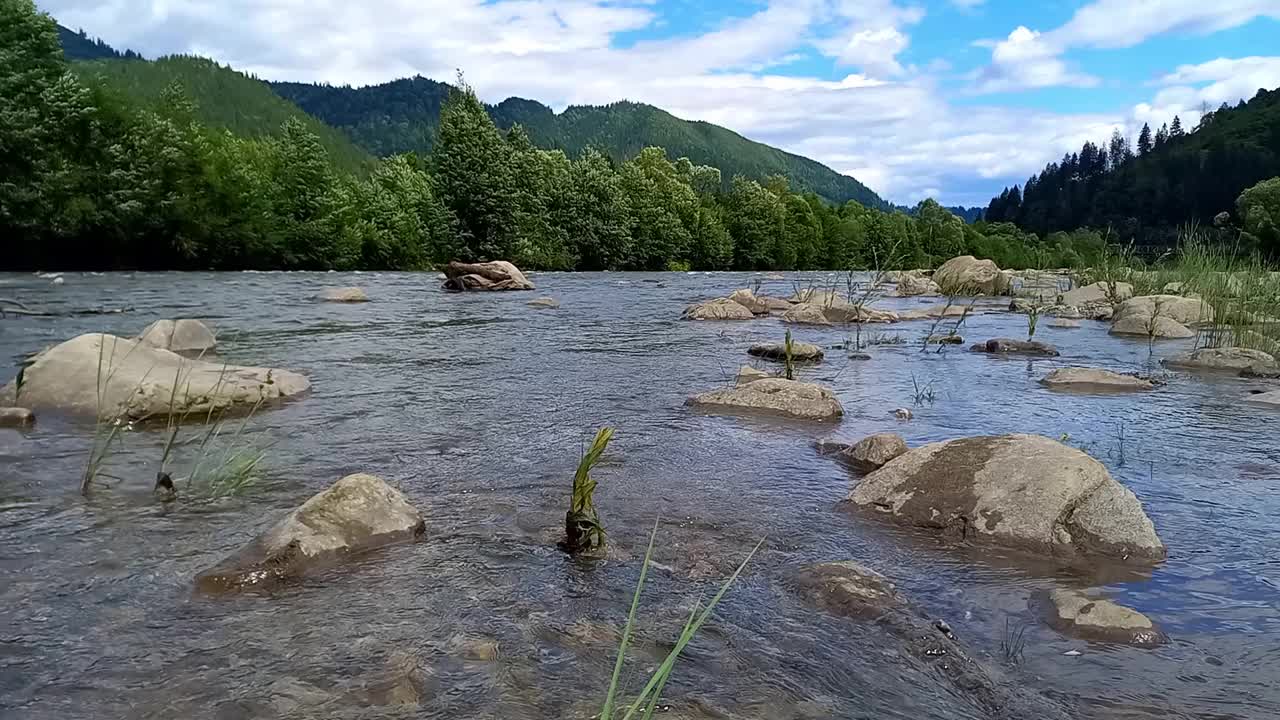 山的风景。基列摩什山河湍急的水流。森林覆盖的山脉沿着河床上升。夏天，晴天。乌克兰，喀尔巴阡山脉，伊万诺-弗兰科夫斯克地区。视频下载