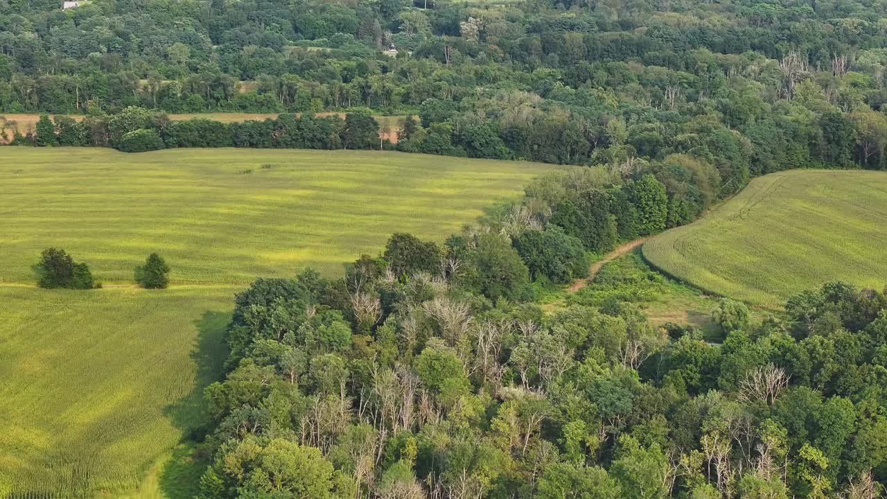 阳光明媚的夏日午后，美国纽约州红钩附近地区的航拍视频视频素材