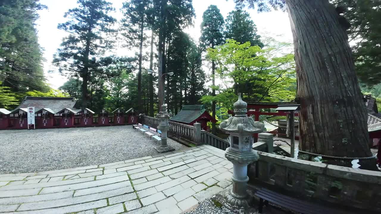 FPV飞过有一排排鸟居门的日本神社视频下载