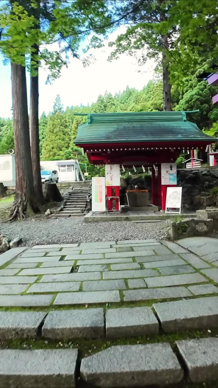 FPV飞过有一排排鸟居门的日本神社视频下载