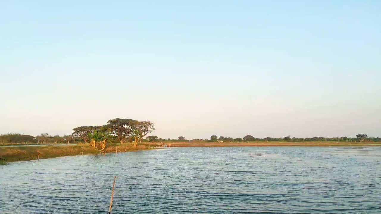 在阳光明媚的日子里，湖泊和树木与土路的自然景观背景视频素材