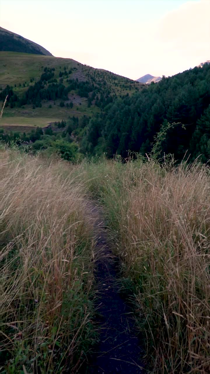 走在草地上的风景，POV视图视频下载