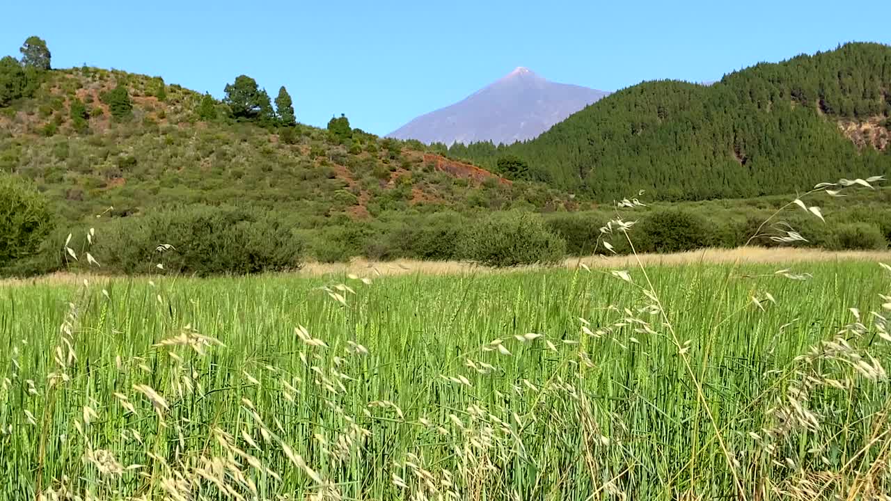 西班牙加那利群岛特内里费岛，圣何塞德洛斯亚诺斯的美丽景色，背景是绿色的草地和泰德火山。视频下载