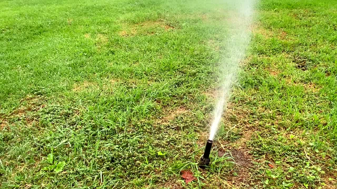 公园或花园的洒水器，将水喷洒在郁郁葱葱的草地上。自动洒水设备，草坪养护，园艺工具概念。视频素材