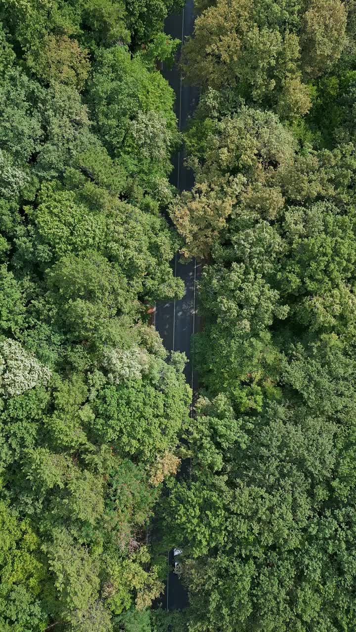 无人机拍摄的一段视频显示，一辆汽车行驶在蜿蜒的道路上，穿过郁郁葱葱的绿色森林。俯视图突出了人造道路与自然环境之间的对比视频素材