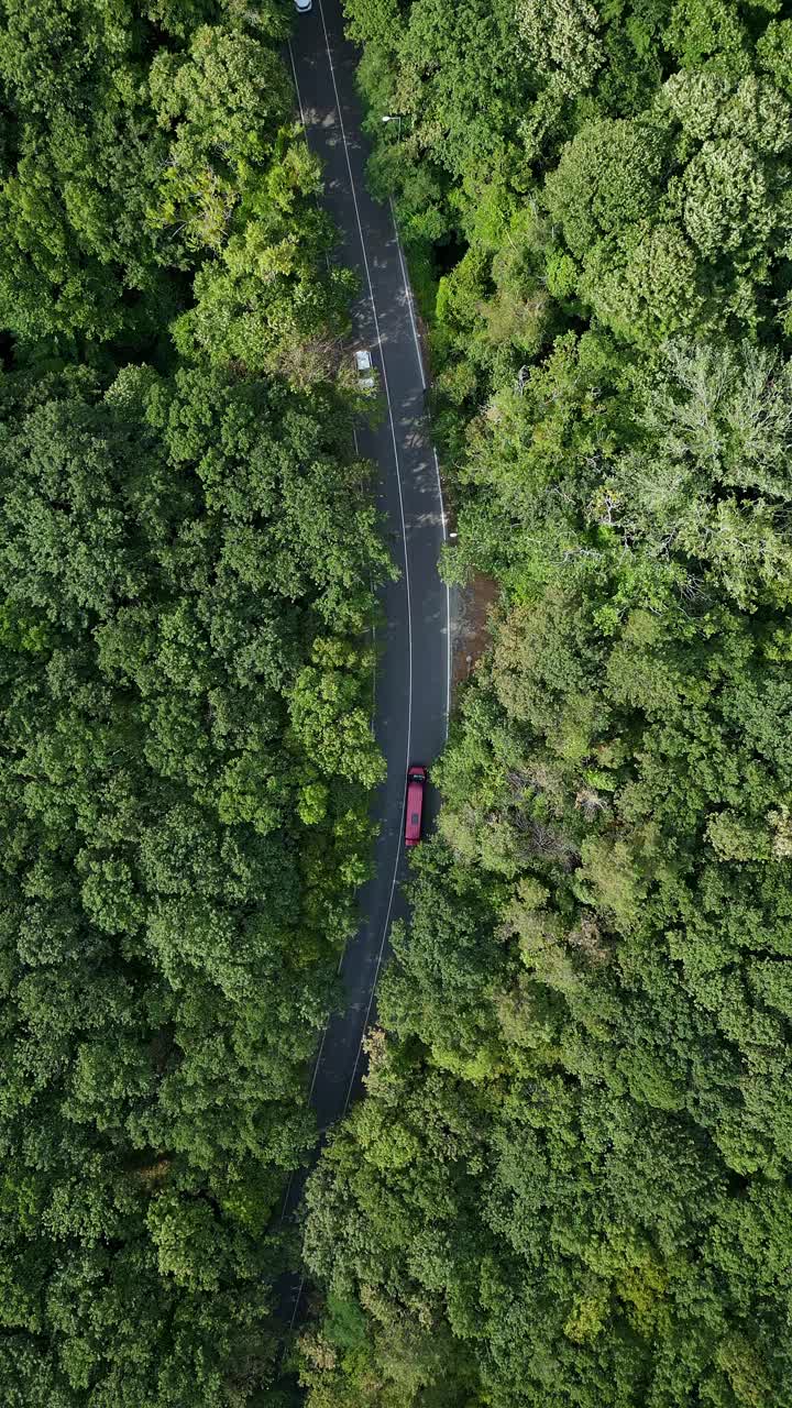 无人机拍摄的一辆汽车沿着蜿蜒的道路穿过茂密的绿色森林。从上面看，强调道路与自然、郁郁葱葱的环境之间的和谐视频下载