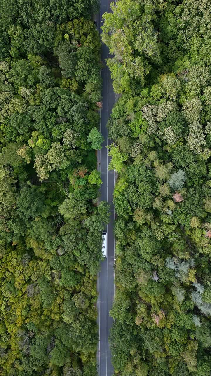 无人机拍摄的一辆汽车行驶在被茂密的绿色森林包围的蜿蜒道路上的视频。宁静的鸟瞰图捕捉到了大自然的美丽和宁静，以及人迹罕至的道路视频下载