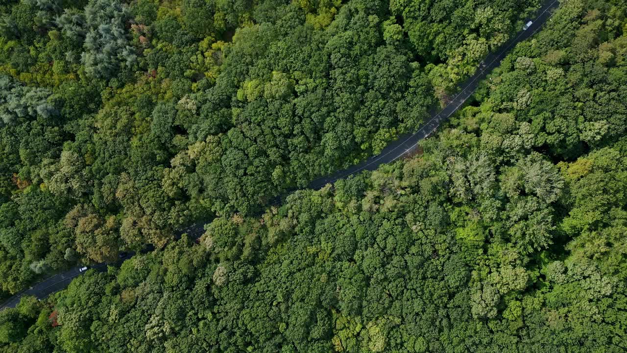 无人机拍摄的一辆汽车行驶在被茂密的绿色森林包围的蜿蜒道路上的视频。宁静的鸟瞰图捕捉到了大自然的美丽和宁静，以及人迹罕至的道路视频素材