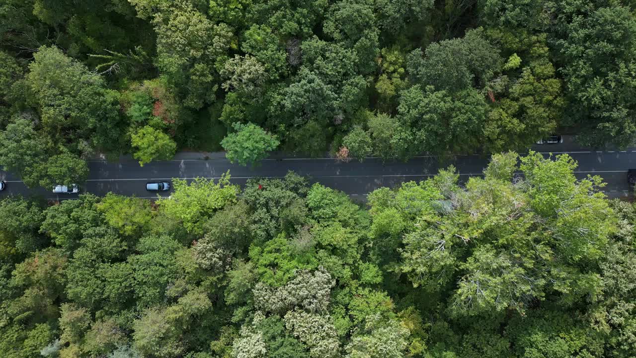 无人机拍摄的一段视频显示，一辆汽车行驶在蜿蜒的道路上，穿过郁郁葱葱的绿色森林。俯视图突出了人造道路与自然环境之间的对比视频素材