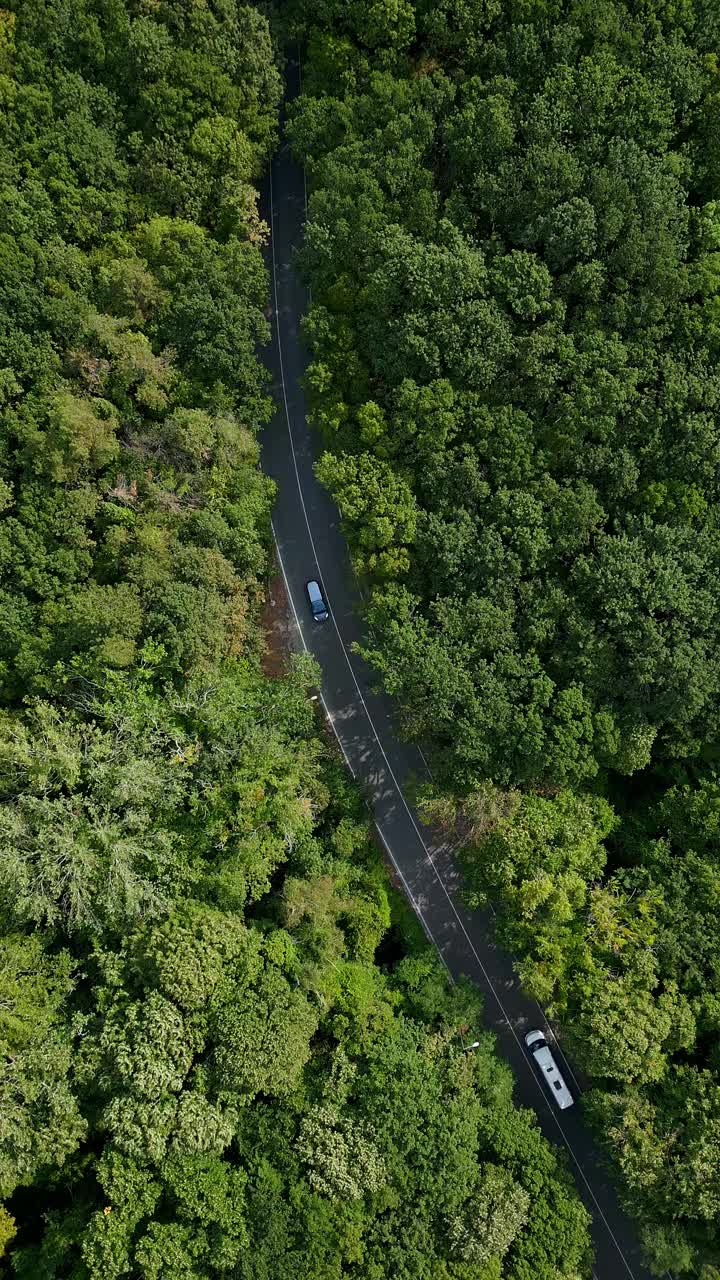 无人机拍摄的一辆汽车沿着蜿蜒的道路穿过茂密的绿色森林。从上面看，强调道路与自然、郁郁葱葱的环境之间的和谐视频素材