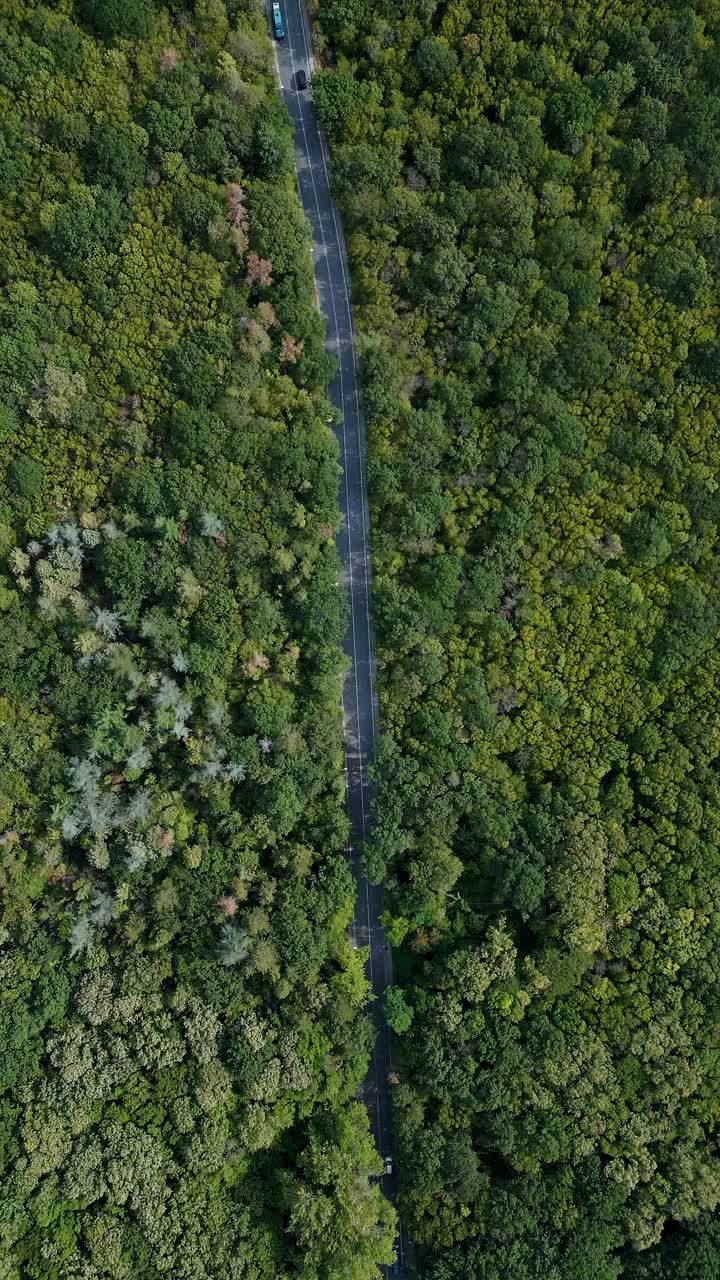 无人机拍摄的一段视频显示，一辆汽车行驶在蜿蜒的道路上，穿过郁郁葱葱的绿色森林。俯视图突出了人造道路与自然环境之间的对比视频素材