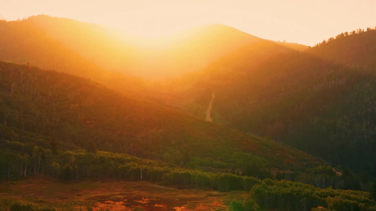 夕阳照耀着山上的森林视频素材