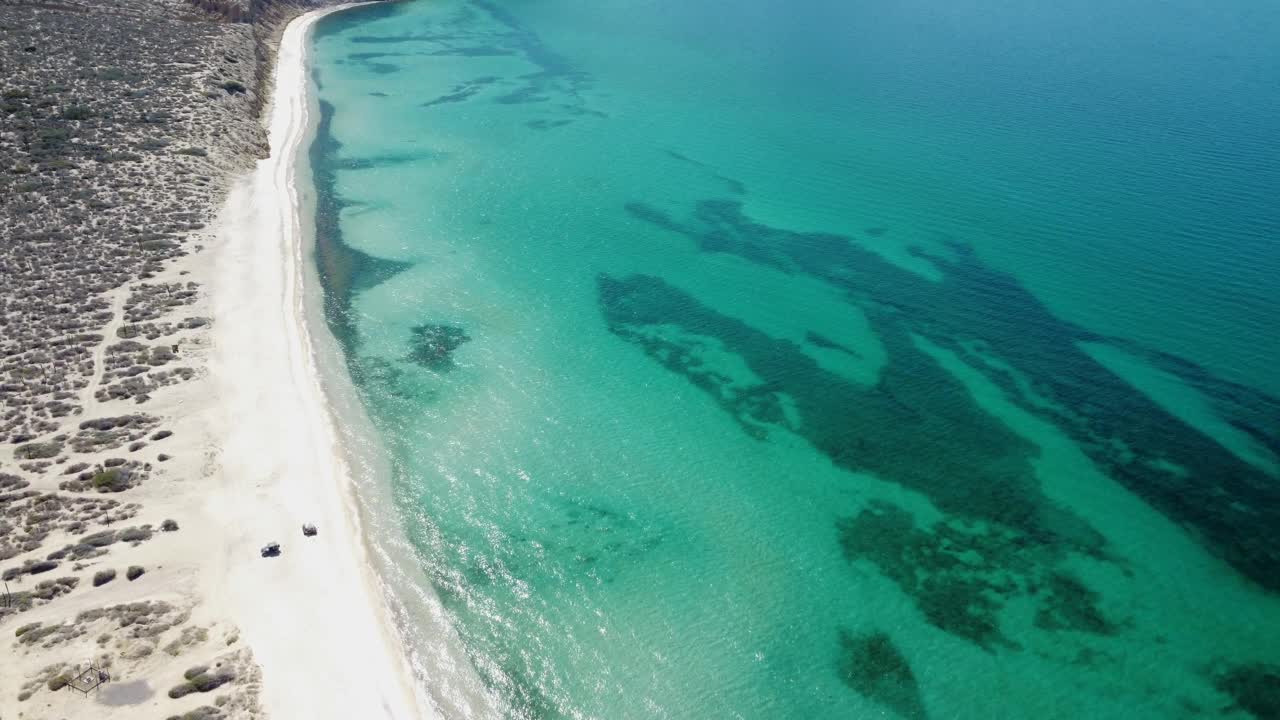 海滩上死了视频素材