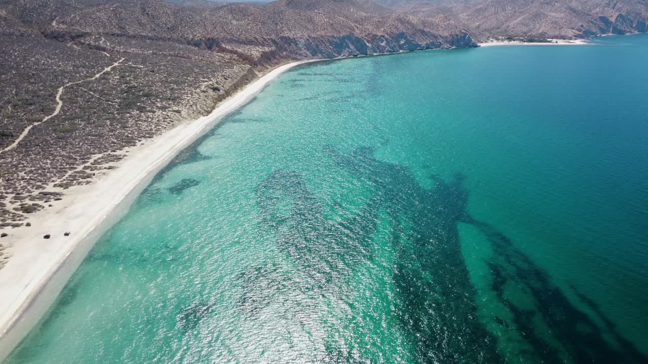 海滩上死了视频素材