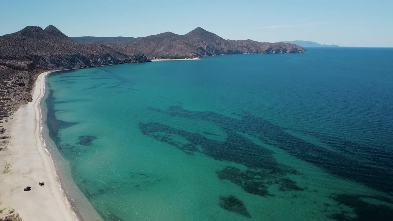 海滩上死了视频素材