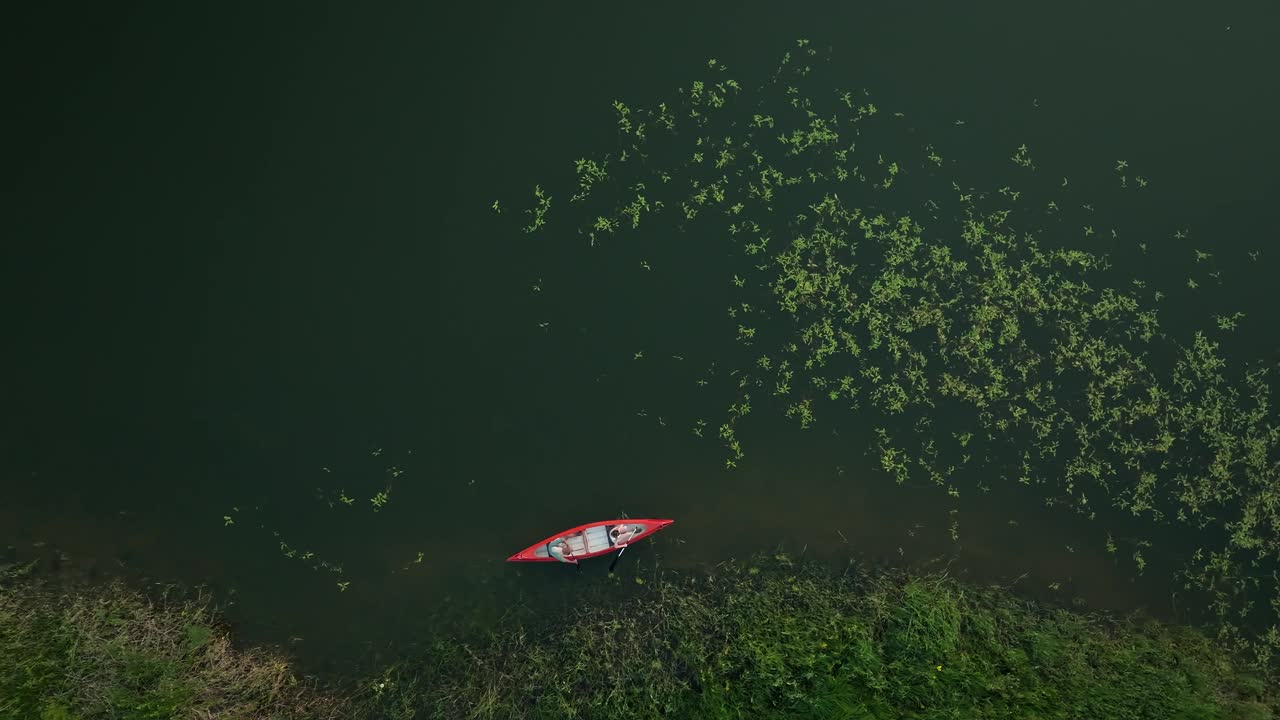 双人独木舟在郁郁葱葱的湖上，靠近睡莲叶和草地视频素材