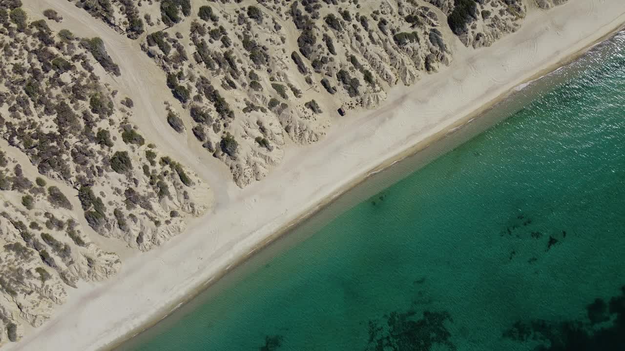 海滩上死了视频素材