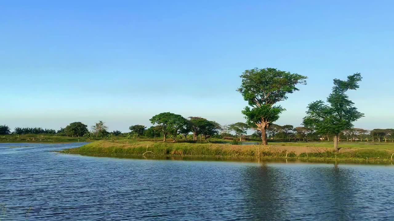 在阳光明媚的日子里，湖泊和树木与土路的自然景观背景视频下载