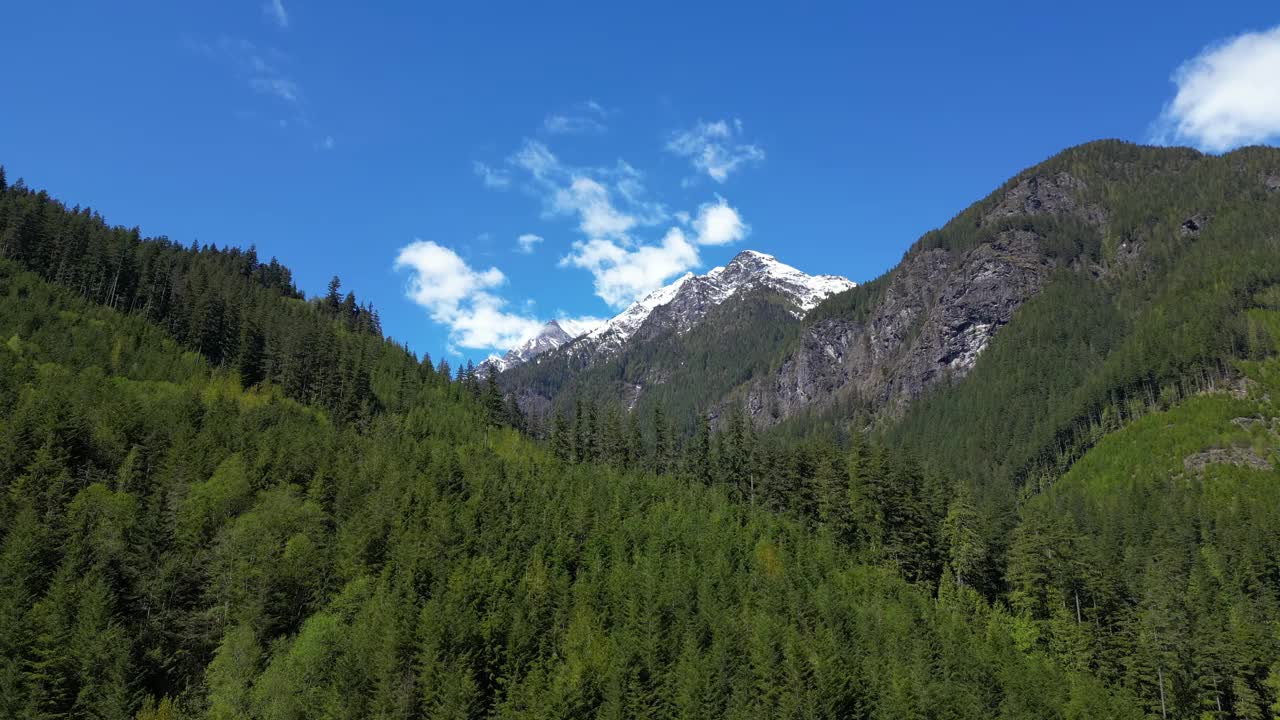 加拿大山地景观，树木和蓝天。加拿大不列颠哥伦比亚省。视频下载