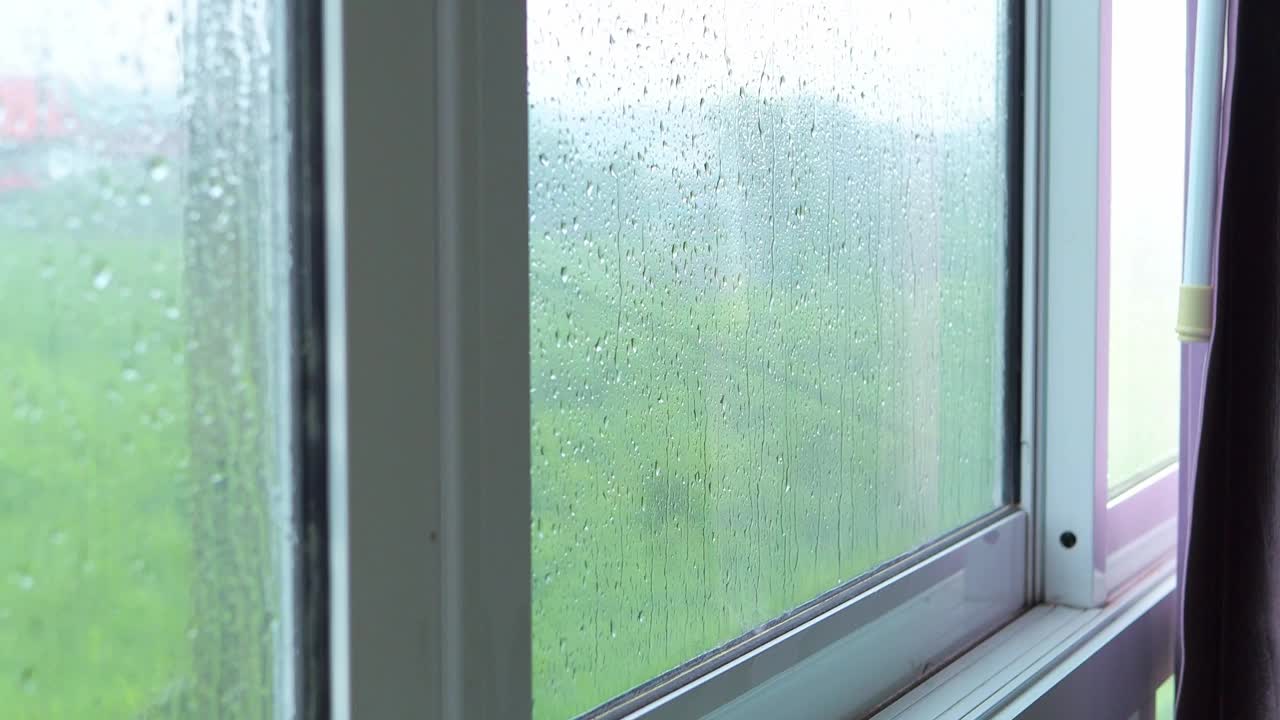 雨落在窗户上，背景是模糊的树木。视频下载