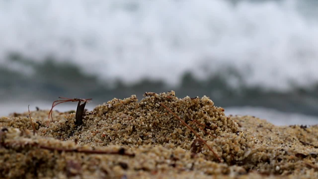 沙滩上平静的海浪视频素材