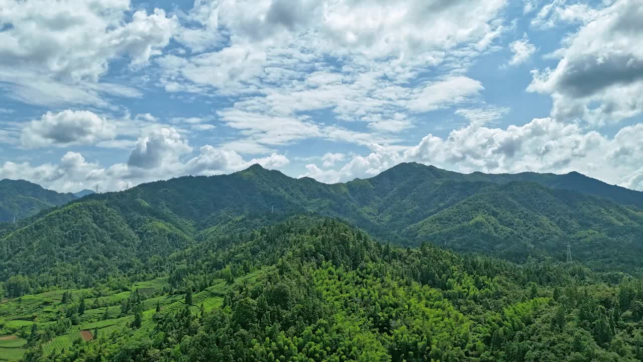 绿林谷云雾延迟视频下载