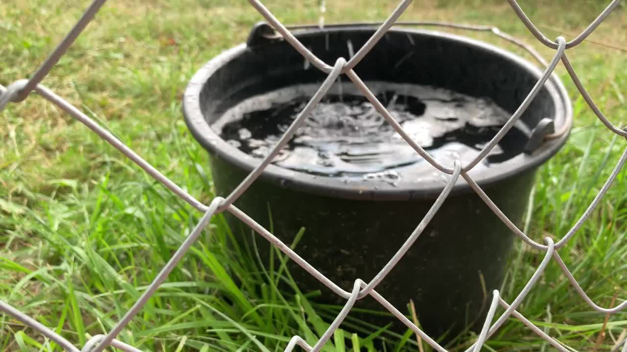 雨水滴落在网后的雨里视频下载