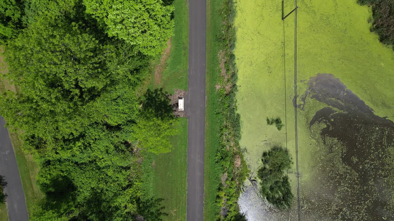 鸟瞰图的沼泽地与输电线(池塘与藻类植物浮渣)风景铁路步道与长凳无人机镜头从上面俯瞰美丽的自然漫步湿地乡村纽约金斯顿视频素材