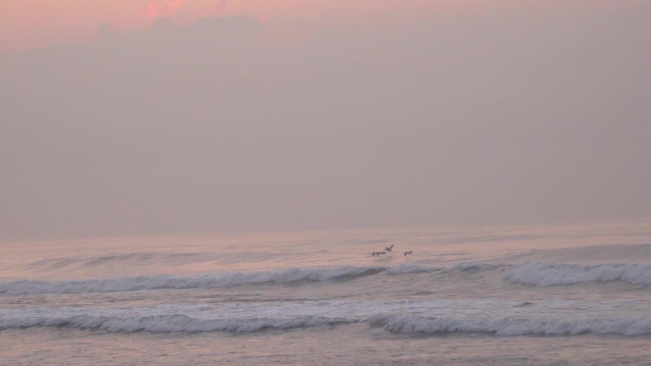 日出时，鸟儿飞越海浪视频素材