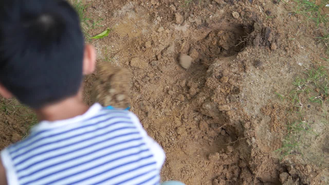 孩子们在院子里挖土、玩土、玩沙。视频素材