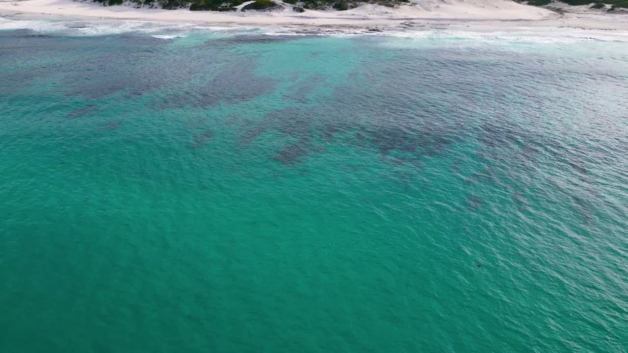 鸟瞰澳大利亚塔斯马尼亚州碧蓝的海水和白色的沙滩视频素材