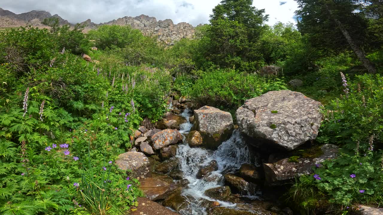 山间河流穿石而过视频下载