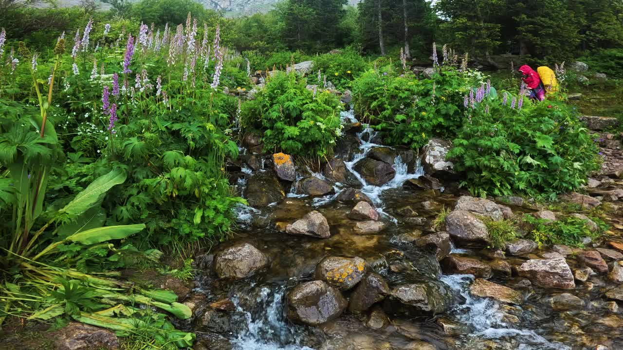 山上的岩石小溪在夏天视频素材