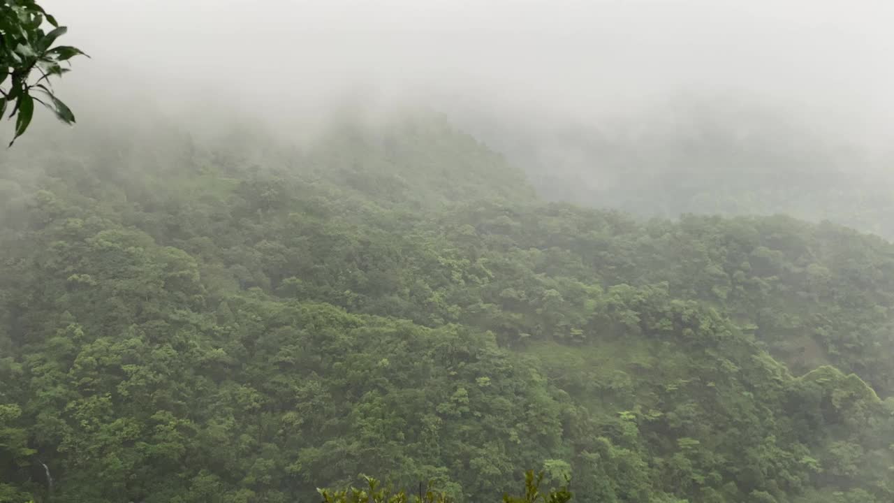 印度马哈拉施特拉邦季风期间康坎昆巴利山的森林。视频下载