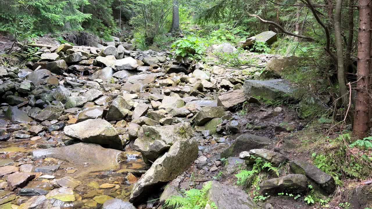 清流的泉水穿过山林中的石头视频下载