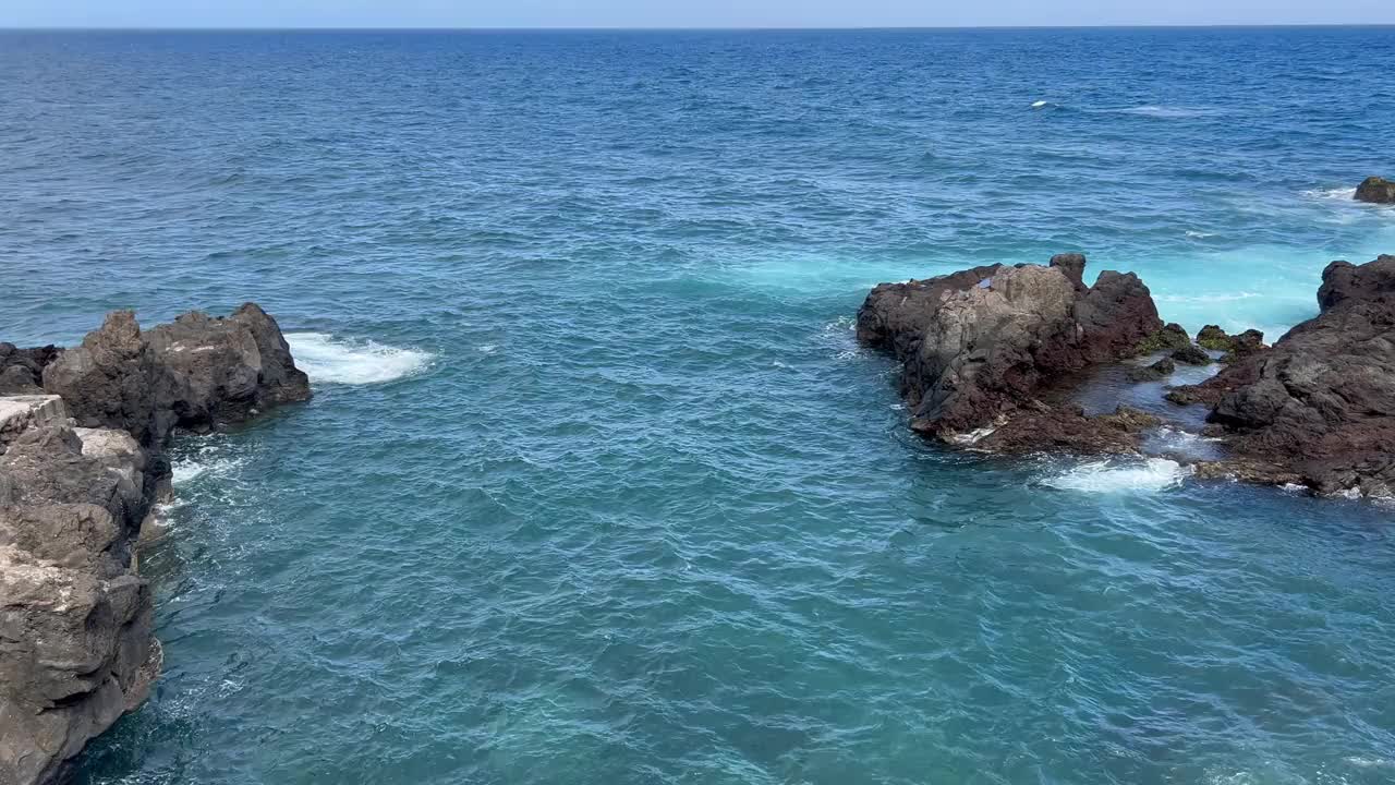 加那利群岛特内里费岛圣特尔莫港德拉克鲁兹海岸外的珊瑚礁视频下载