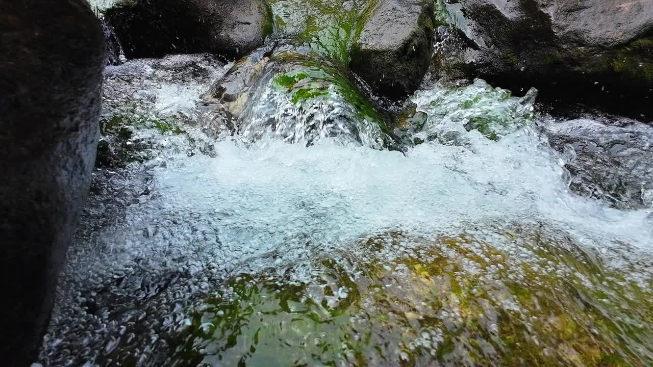 山泉水山泉水在溪中视频素材