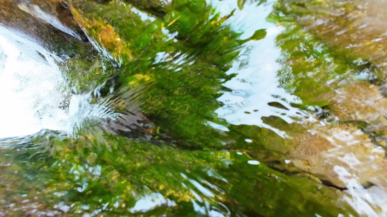 山泉水山泉水在溪中视频下载